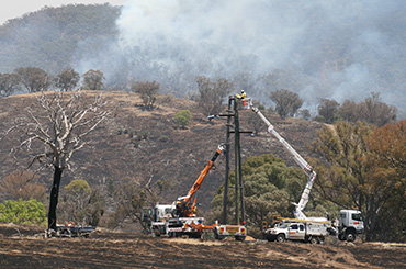 Vegetation Management